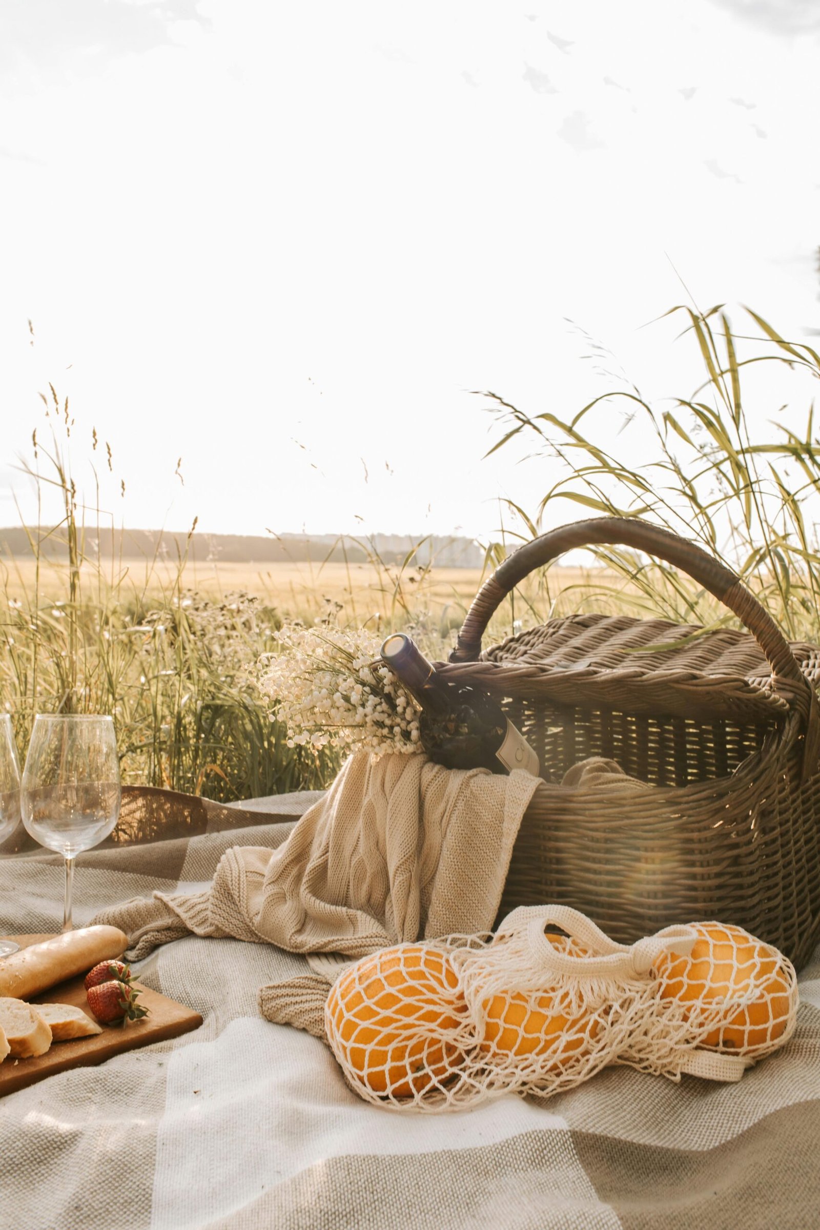 Experiencia Picnic Folklore